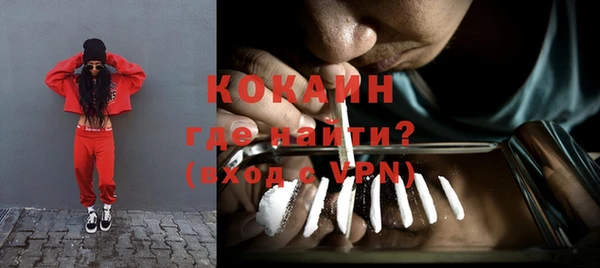ешки Бородино