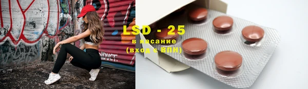 ешки Бородино