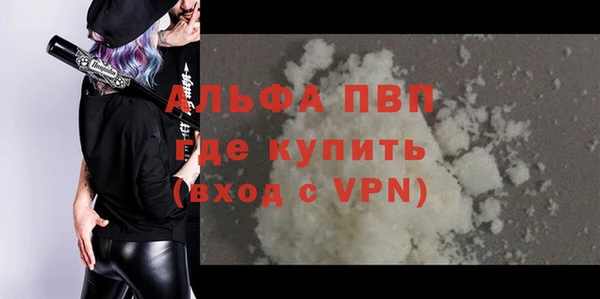 ECSTASY Богородицк