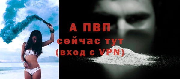 стаф Богданович