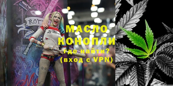 ECSTASY Богородицк