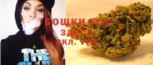 прущие грибы Верея