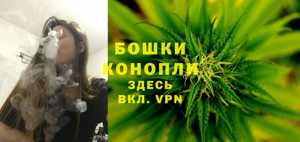 стаф Богданович