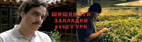 стаф Богданович