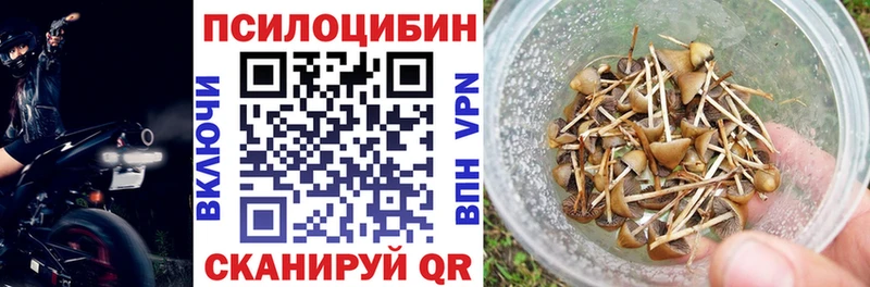 МЕГА ТОР  Миньяр  Галлюциногенные грибы Cubensis 